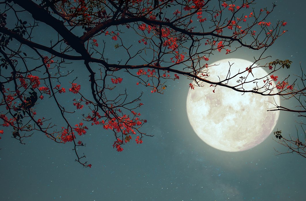 Lune en belier : liberation et renouveau