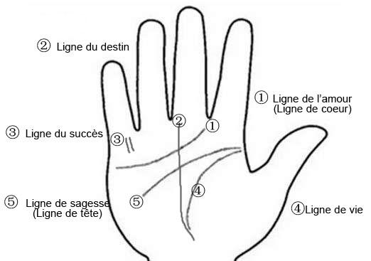 Lire les lignes de la main, L’art de la chiromancie Lire les lignes de la main, L’art de la chiromancie